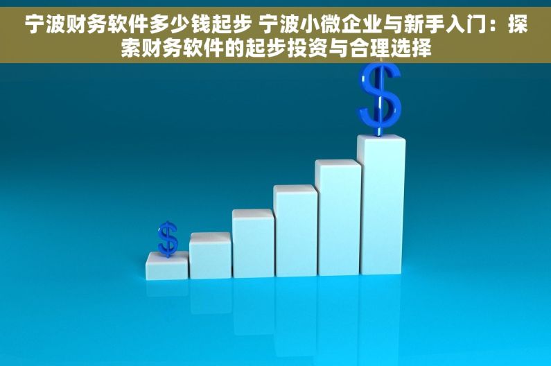 宁波财务软件多少钱起步 宁波小微企业与新手入门：探索财务软件的起步投资与合理选择