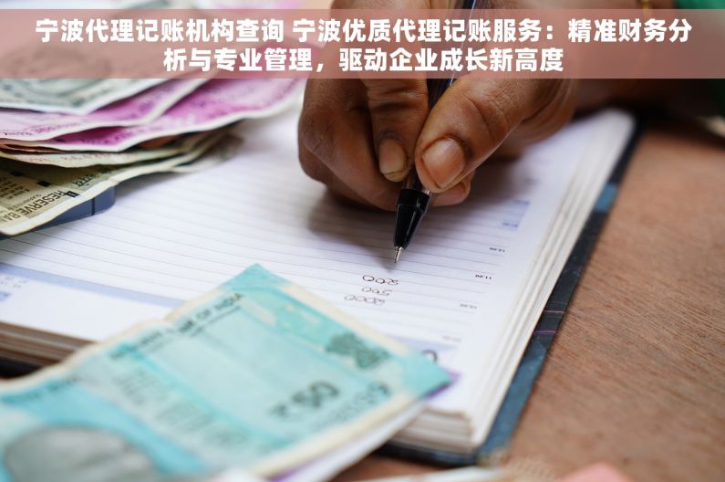 宁波代理记账机构查询 宁波优质代理记账服务：精准财务分析与专业管理，驱动企业成长新高度