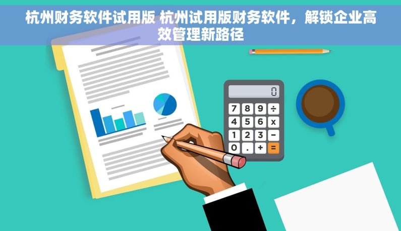 杭州财务软件试用版 杭州试用版财务软件，解锁企业高效管理新路径