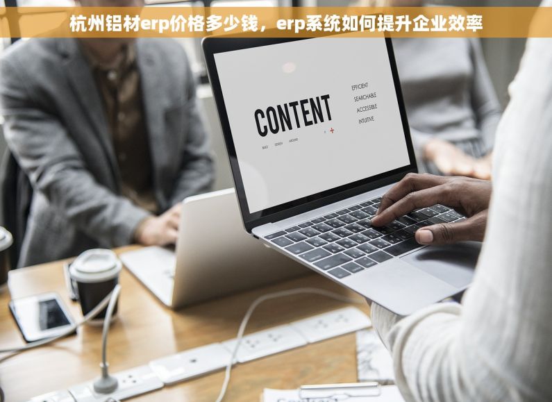 杭州铝材erp价格多少钱，erp系统如何提升企业效率