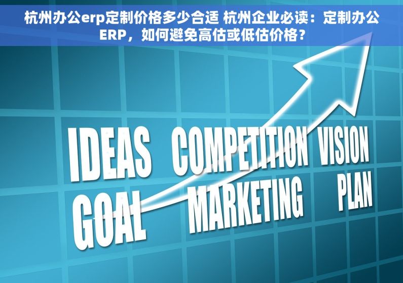杭州办公erp定制价格多少合适 杭州企业必读：定制办公ERP，如何避免高估或低估价格？
