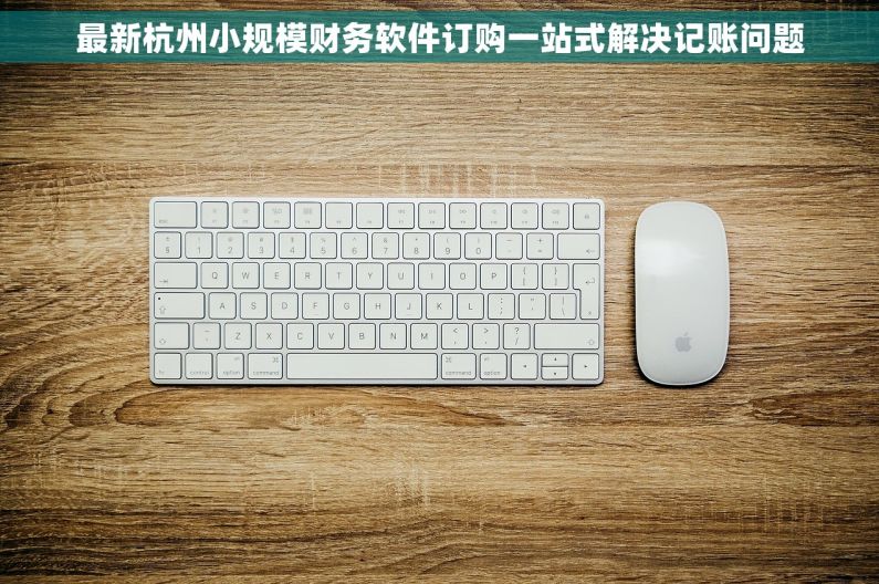 最新杭州小规模财务软件订购一站式解决记账问题
