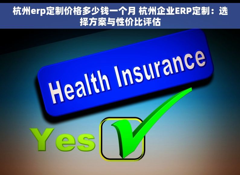 杭州erp定制价格多少钱一个月 杭州企业ERP定制：选择方案与性价比评估
