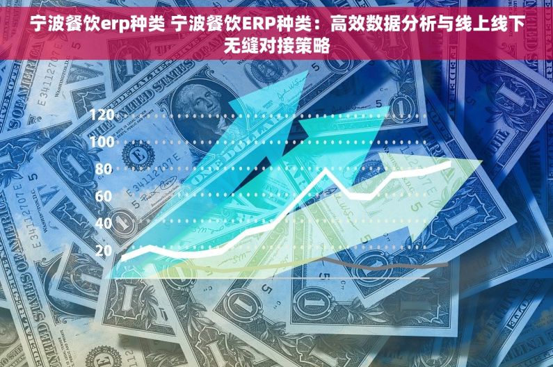 宁波餐饮erp种类 宁波餐饮ERP种类：高效数据分析与线上线下无缝对接策略