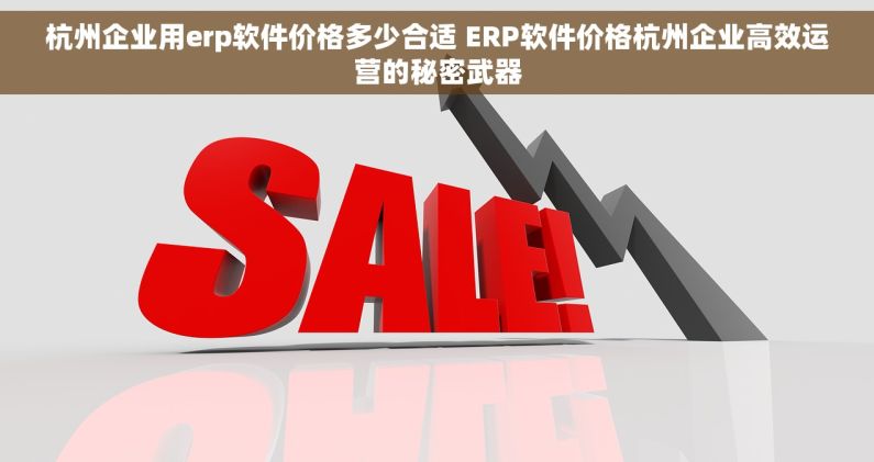 杭州企业用erp软件价格多少合适 ERP软件价格杭州企业高效运营的秘密武器