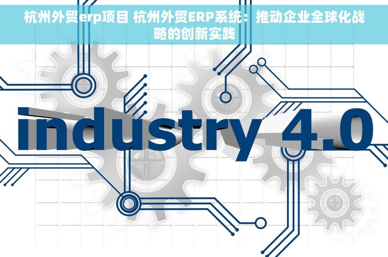 杭州外贸erp项目 杭州外贸ERP系统：推动企业全球化战略的创新实践