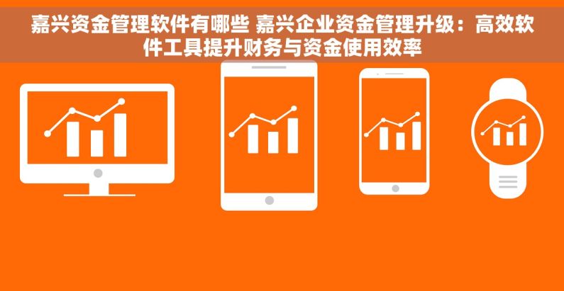 嘉兴资金管理软件有哪些 嘉兴企业资金管理升级：高效软件工具提升财务与资金使用效率