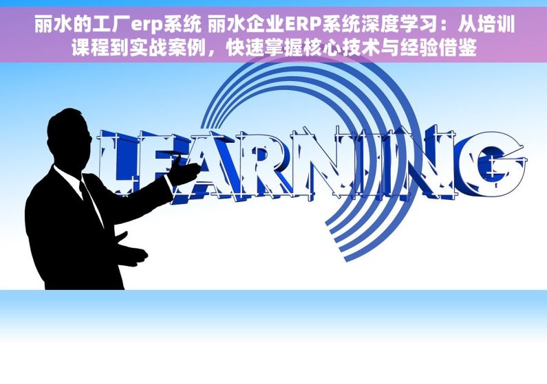 丽水的工厂erp系统 丽水企业ERP系统深度学习：从培训课程到实战案例，快速掌握核心技术与经验借鉴