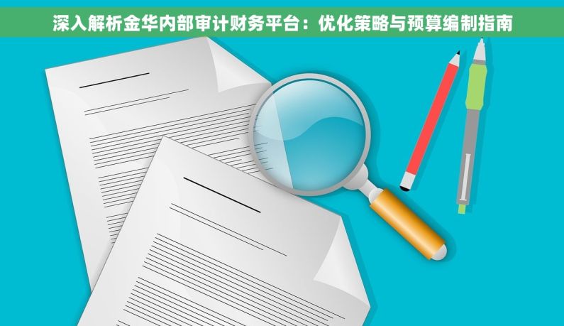 深入解析金华内部审计财务平台：优化策略与预算编制指南