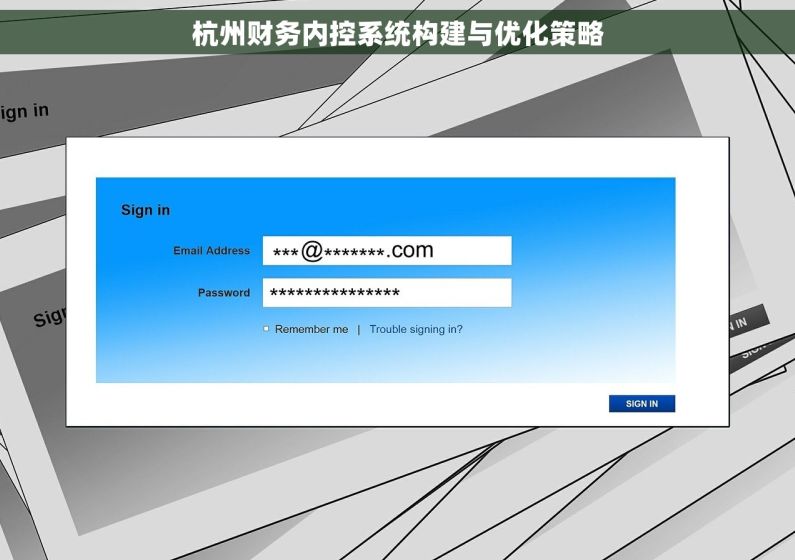 杭州财务内控系统构建与优化策略