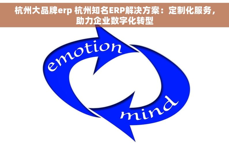杭州大品牌erp 杭州知名ERP解决方案：定制化服务，助力企业数字化转型