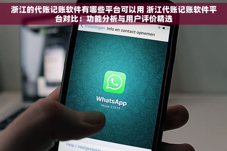 浙江的代账记账软件有哪些平台可以用 浙江代账记账软件平台对比：功能分析与用户评价精选