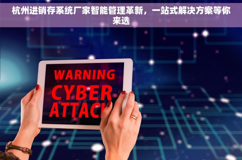 杭州进销存系统厂家智能管理革新，一站式解决方案等你来选