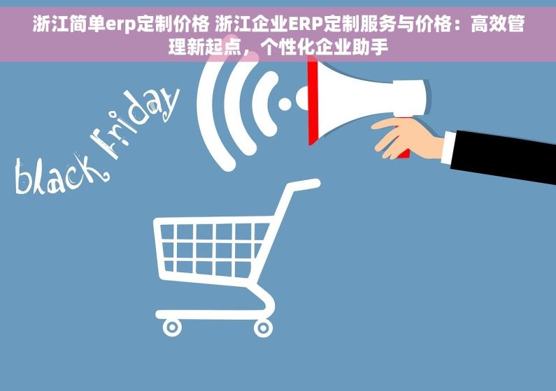 浙江简单erp定制价格 浙江企业ERP定制服务与价格：高效管理新起点，个性化企业助手