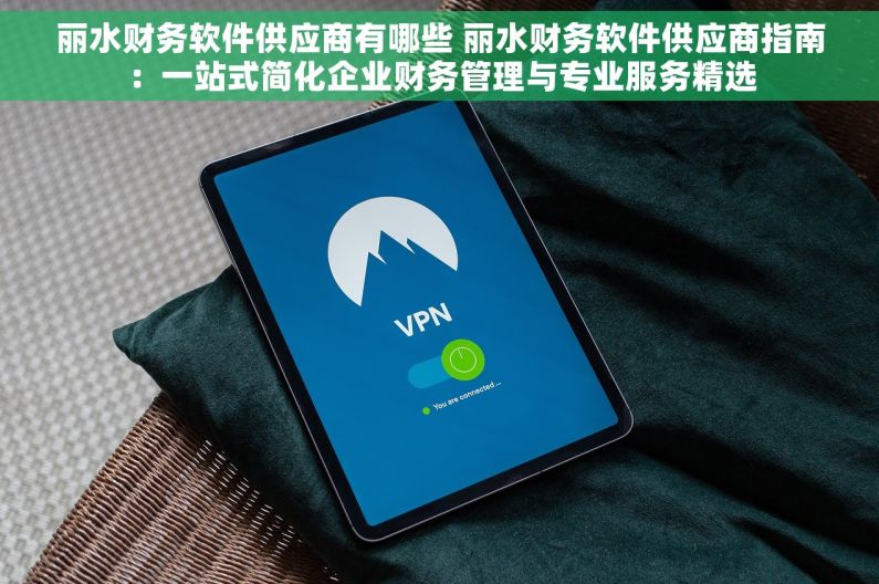 丽水财务软件供应商有哪些 丽水财务软件供应商指南：一站式简化企业财务管理与专业服务精选