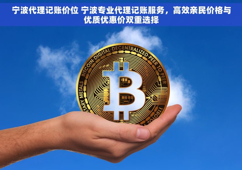 宁波代理记账价位 宁波专业代理记账服务，高效亲民价格与优质优惠价双重选择