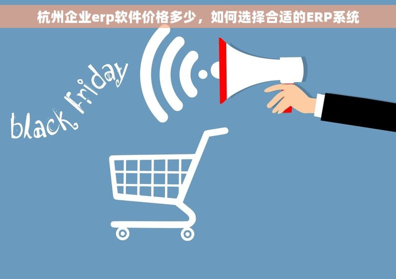 杭州企业erp软件价格多少，如何选择合适的ERP系统