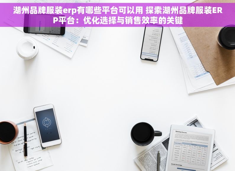 湖州品牌服装erp有哪些平台可以用 探索湖州品牌服装ERP平台：优化选择与销售效率的关键