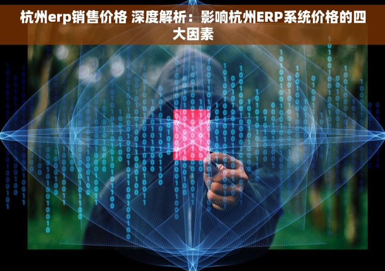 杭州erp销售价格 深度解析：影响杭州ERP系统价格的四大因素