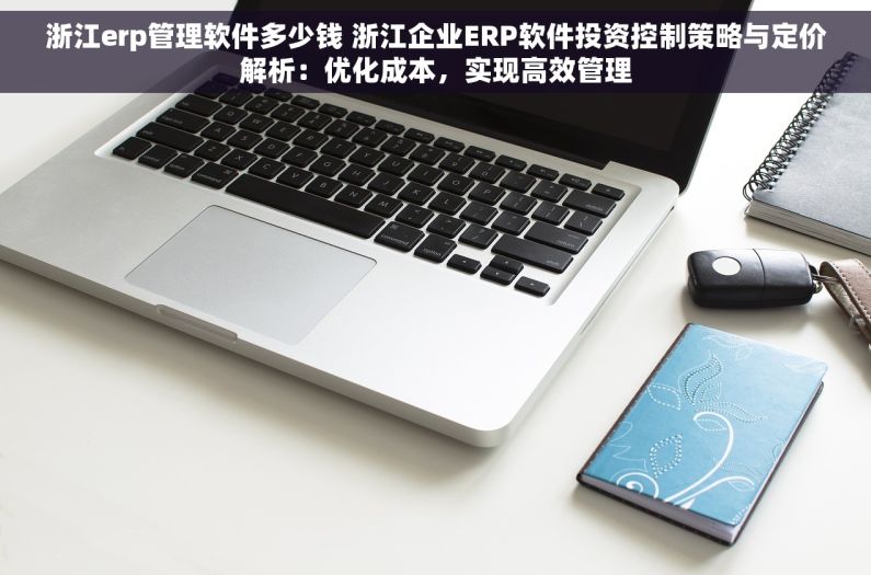 浙江erp管理软件多少钱 浙江企业ERP软件投资控制策略与定价解析：优化成本，实现高效管理