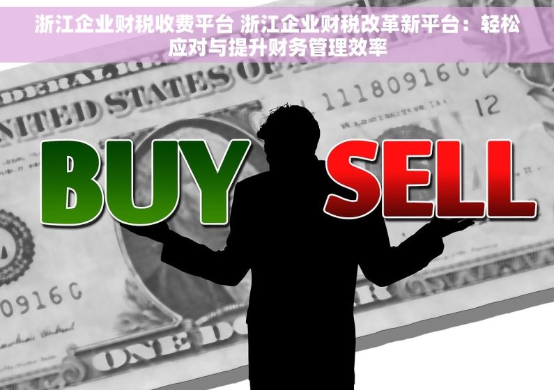 浙江企业财税收费平台 浙江企业财税改革新平台：轻松应对与提升财务管理效率