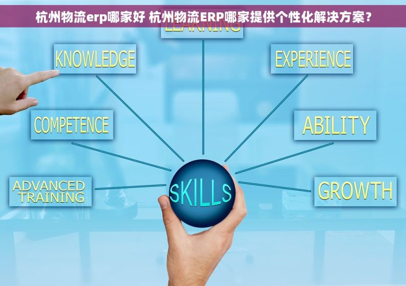 杭州物流erp哪家好 杭州物流ERP哪家提供个性化解决方案？