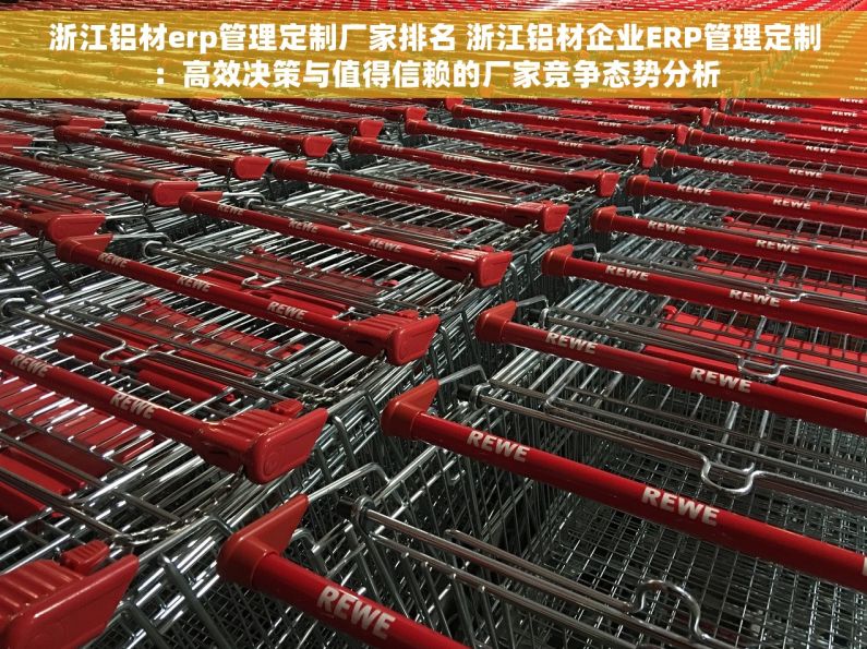 浙江铝材erp管理定制厂家排名 浙江铝材企业ERP管理定制：高效决策与值得信赖的厂家竞争态势分析