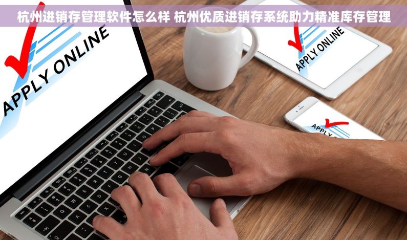 杭州进销存管理软件怎么样 杭州优质进销存系统助力精准库存管理