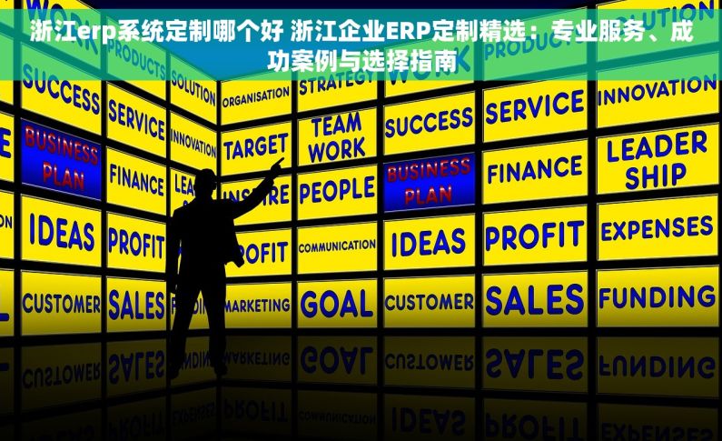 浙江erp系统定制哪个好 浙江企业ERP定制精选：专业服务、成功案例与选择指南