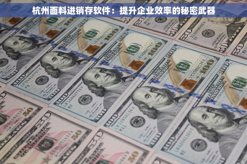 杭州面料进销存软件：提升企业效率的秘密武器