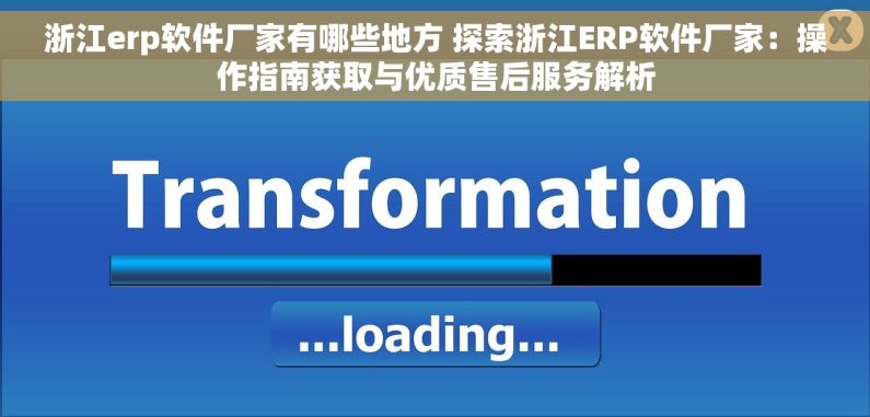 浙江erp软件厂家有哪些地方 探索浙江ERP软件厂家：操作指南获取与优质售后服务解析