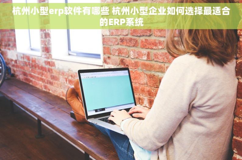 杭州小型erp软件有哪些 杭州小型企业如何选择最适合的ERP系统