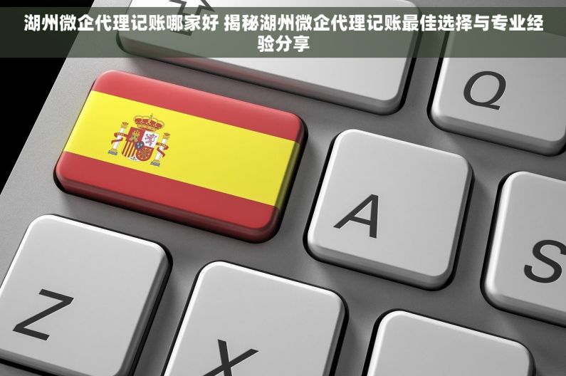 湖州微企代理记账哪家好 揭秘湖州微企代理记账最佳选择与专业经验分享
