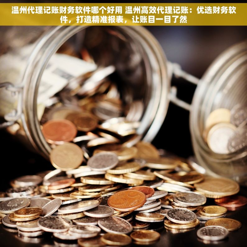 温州代理记账财务软件哪个好用 温州高效代理记账：优选财务软件，打造精准报表，让账目一目了然