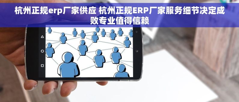 杭州正规erp厂家供应 杭州正规ERP厂家服务细节决定成败专业值得信赖