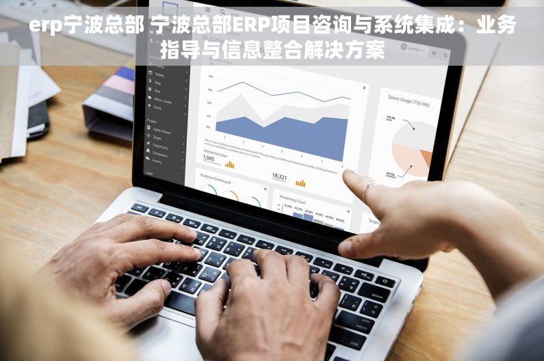 erp宁波总部 宁波总部ERP项目咨询与系统集成：业务指导与信息整合解决方案