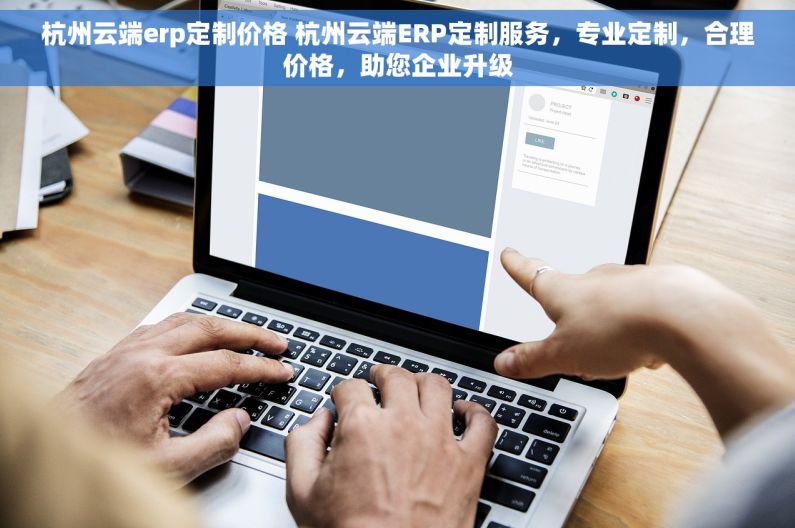 杭州云端erp定制价格 杭州云端ERP定制服务，专业定制，合理价格，助您企业升级