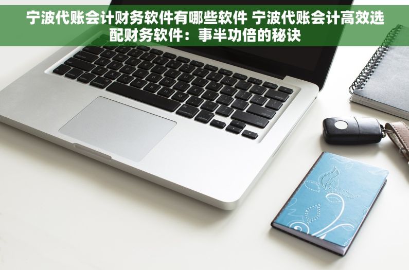 宁波代账会计财务软件有哪些软件 宁波代账会计高效选配财务软件：事半功倍的秘诀