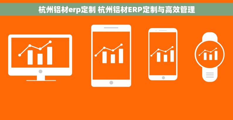 杭州铝材erp定制 杭州铝材ERP定制与高效管理