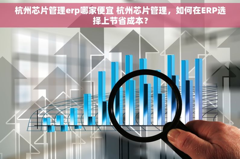 杭州芯片管理erp哪家便宜 杭州芯片管理，如何在ERP选择上节省成本？