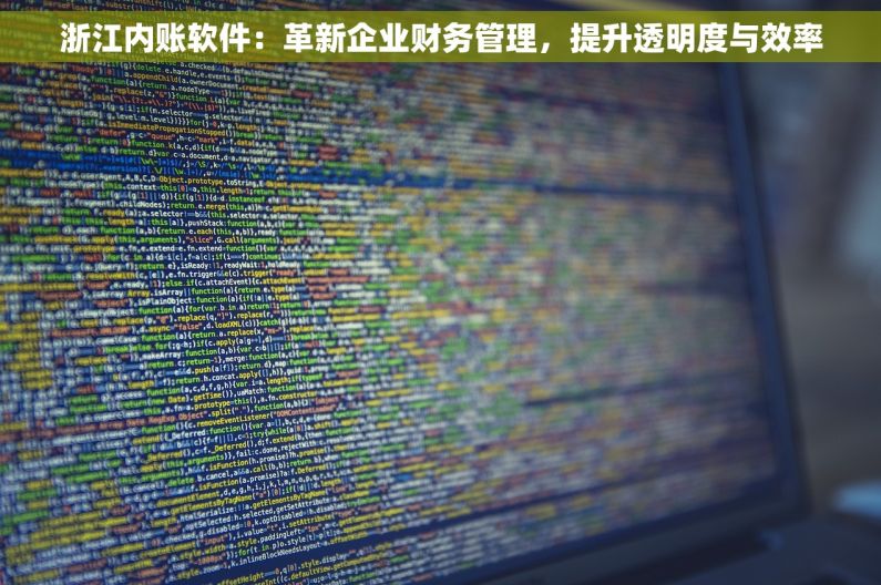 浙江内账软件：革新企业财务管理，提升透明度与效率