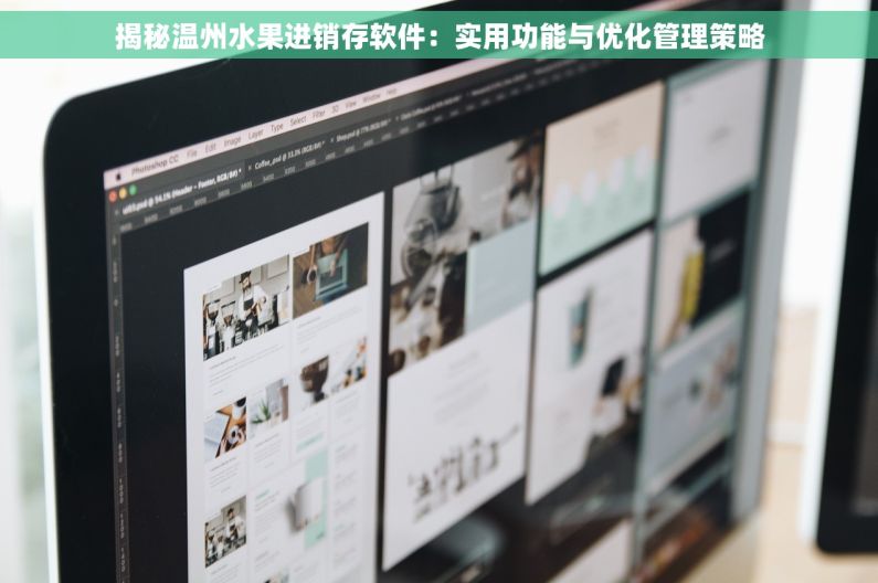 揭秘温州水果进销存软件：实用功能与优化管理策略