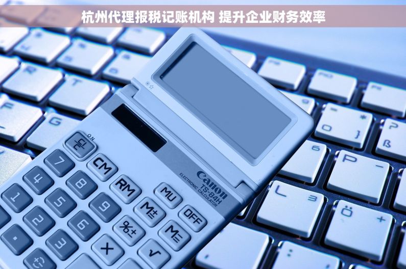 杭州代理报税记账机构 提升企业财务效率