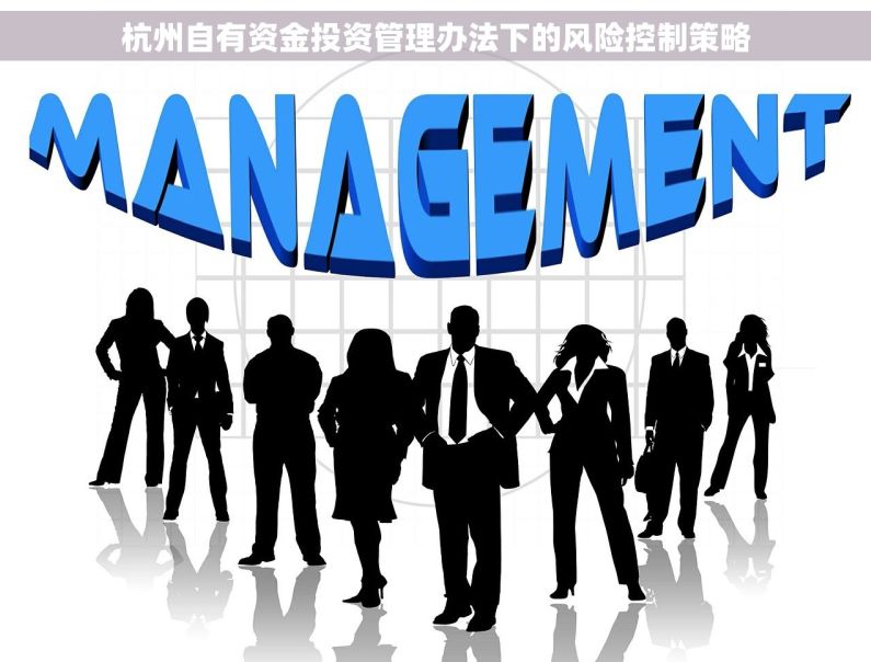 杭州自有资金投资管理办法下的风险控制策略