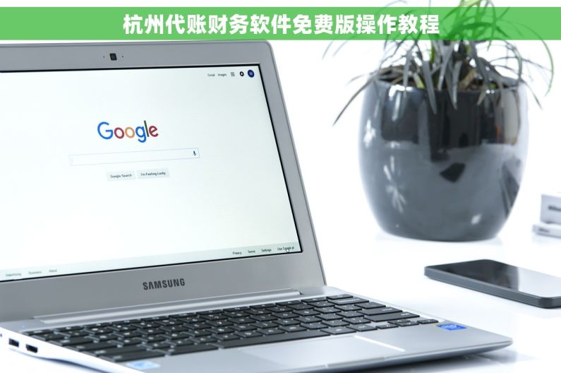 杭州代账财务软件免费版操作教程