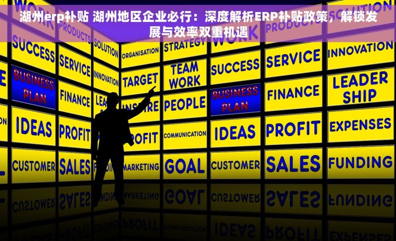 湖州erp补贴 湖州地区企业必行：深度解析ERP补贴政策，解锁发展与效率双重机遇