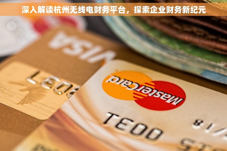 深入解读杭州无线电财务平台，探索企业财务新纪元