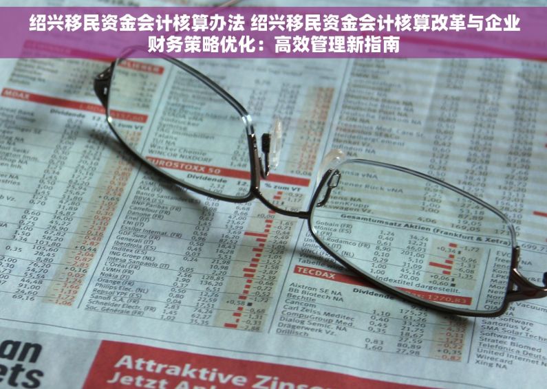 绍兴移民资金会计核算办法 绍兴移民资金会计核算改革与企业财务策略优化：高效管理新指南
