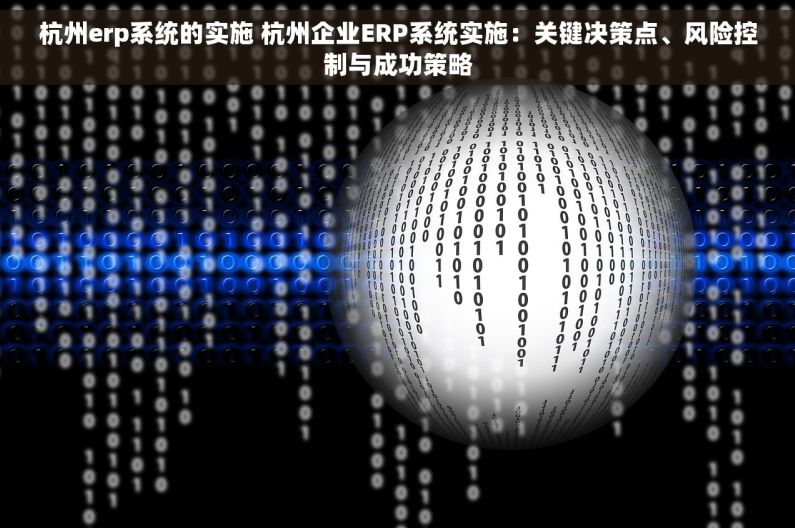 杭州erp系统的实施 杭州企业ERP系统实施：关键决策点、风险控制与成功策略