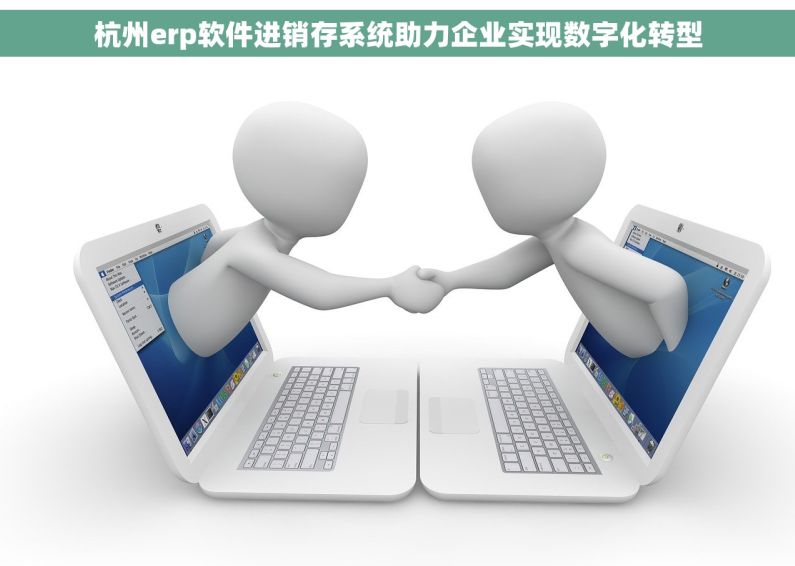 杭州erp软件进销存系统助力企业实现数字化转型